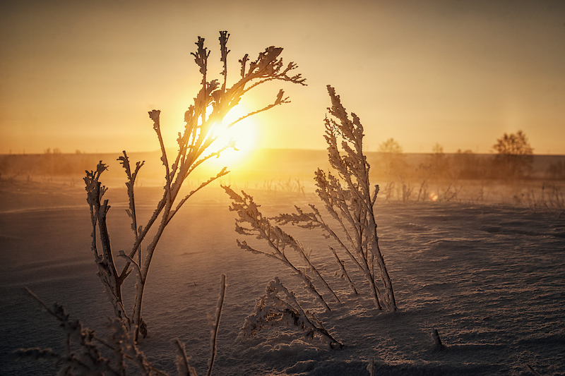 Зимний пейзаж - Заморин_0.jpg